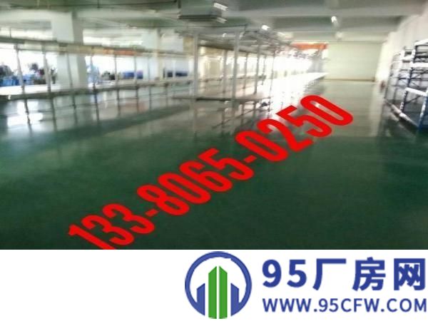 陈江五一标准厂房600平方