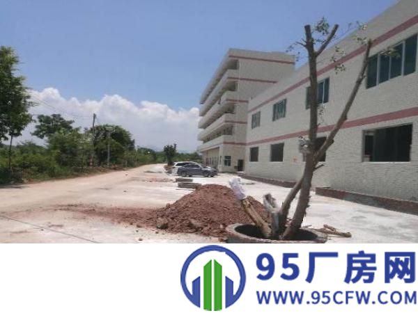 陈江镇原房东独门独院滴水8米钢构厂房5000平