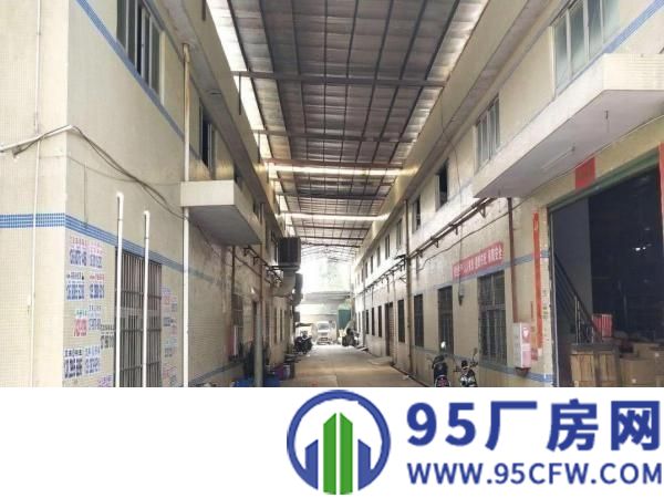 博罗县龙溪正规工业园钢结构滴水8米20000平方厂房招租