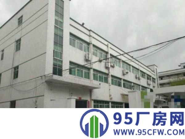 陈江独门独院厂房招租5600平方，配货梯带漆滴