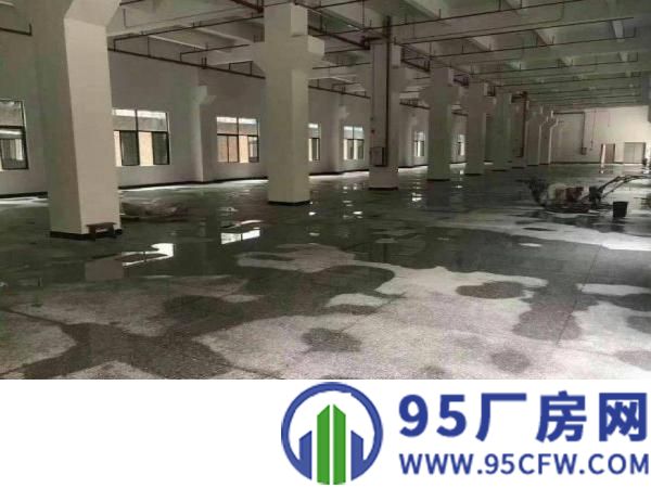 出租仲恺惠环一楼厂房