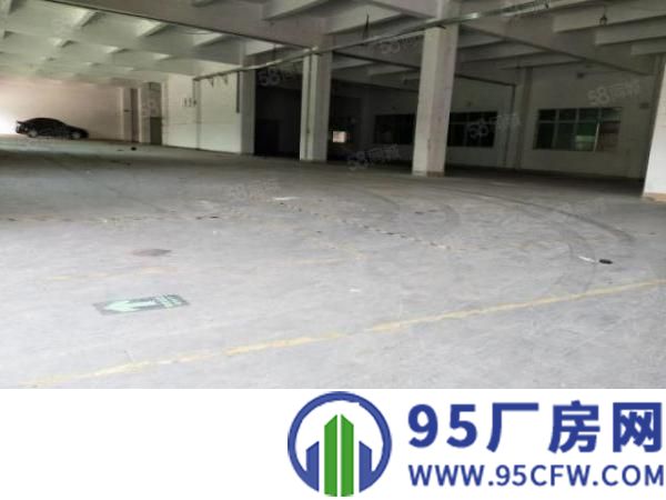 茶山镇独院单一层800平方精装办公室带行车电160，无公摊！