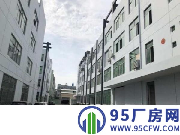 万江工业区标准厂房分租楼上1600平方出租交通方便，位于工业