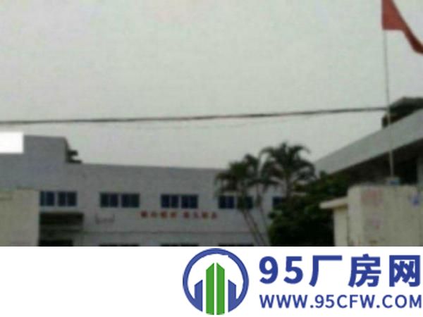 万江环城路外上甲独门独院单一厂房1600平方火爆招租