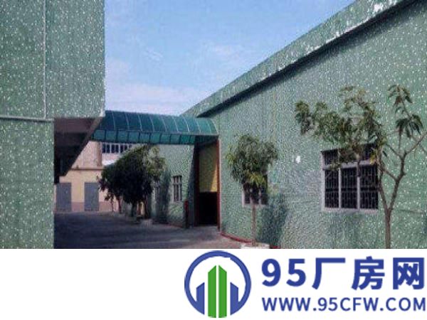 万江独院单一层厂房2500平方出租配电250千瓦，空地800