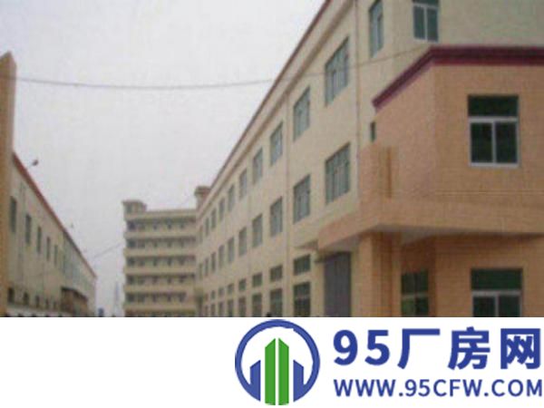 万江独院厂房分租1楼1800平方低价招租