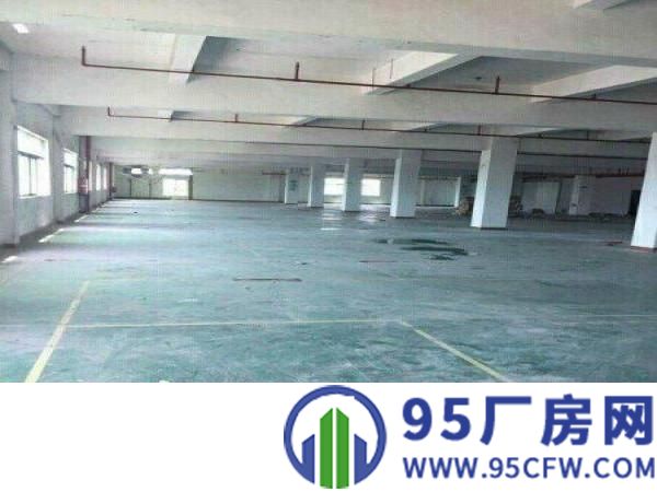 三江工业区，标准厂房2楼，1500平米，带地坪漆。
