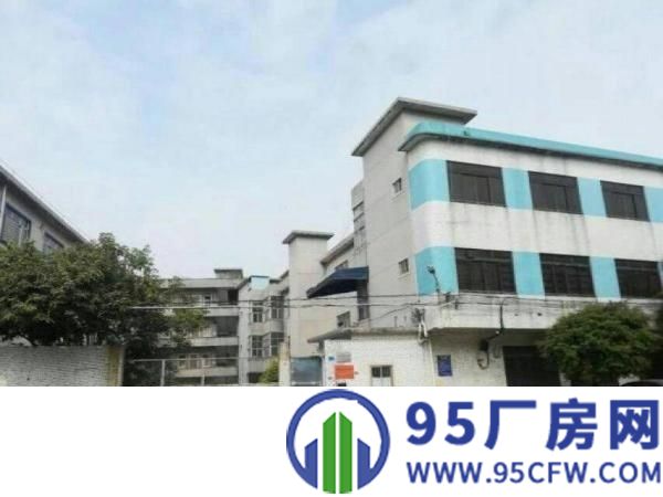 横沥镇新出原房东独院厂房招租4500