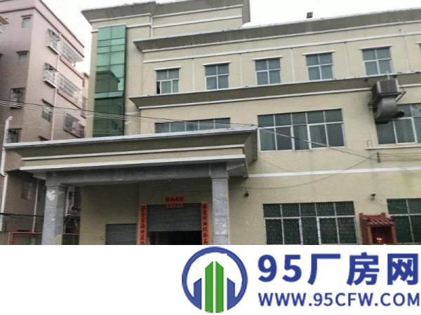 原房东原房东原房东独院厂房出租