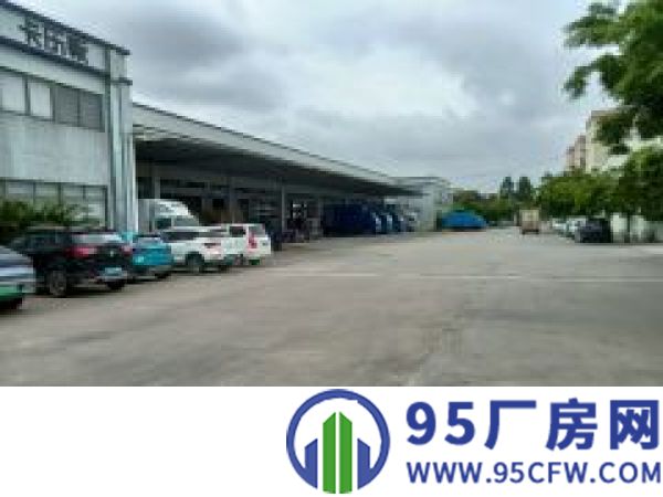 望牛墩 3800平 园区高台仓库  空地大 低价出租