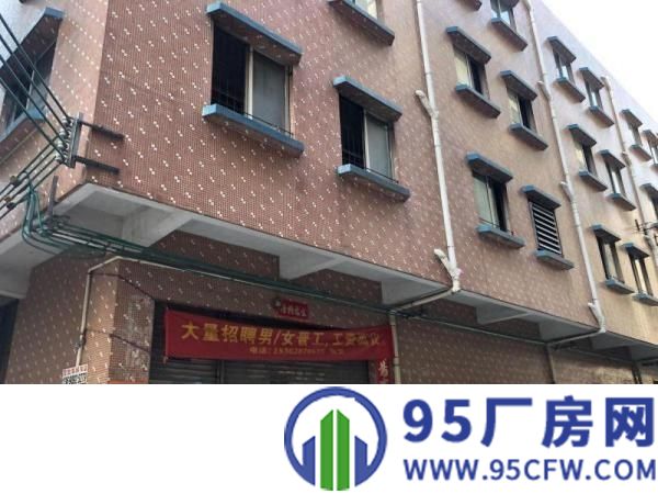 出租石碣镇畔龙东街厂房