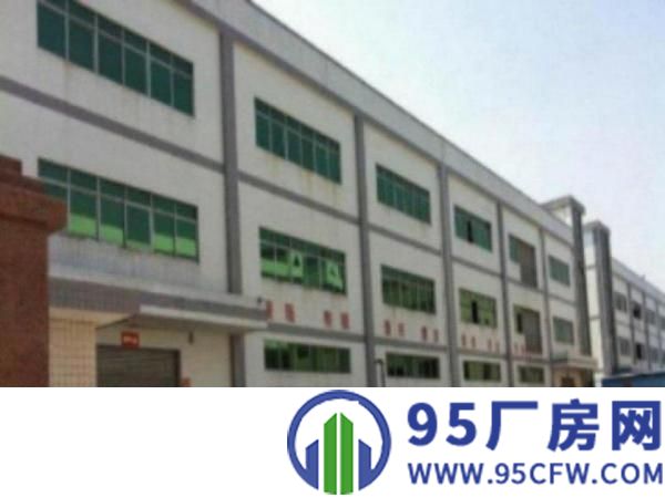 望牛墩工业区标准厂房分租楼上2000平出租