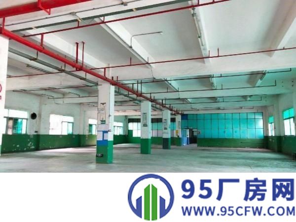 厚街三屯成熟工业区内标准一楼厂房1600平米，只要15元