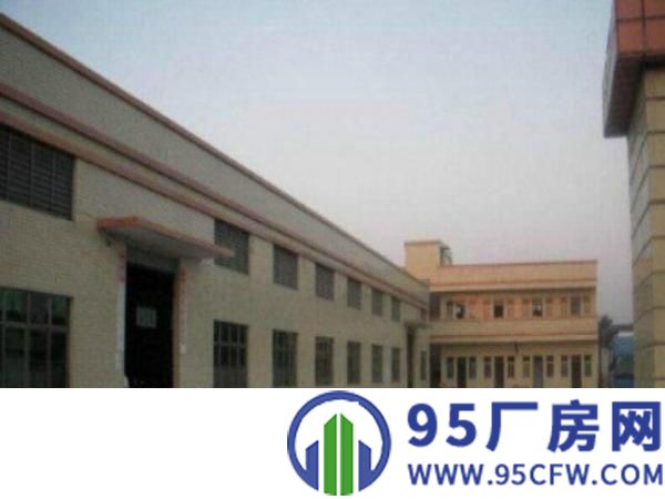 望牛墩环城路边独院单一层钢构厂房2500平方出租周边环境成熟
