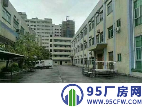 万江新出独院标准厂房一楼1500平方出租适合做设备、五金