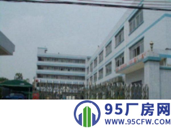 望牛墩标准一楼厂房800或1000㎡出租配套齐全业区环境好，