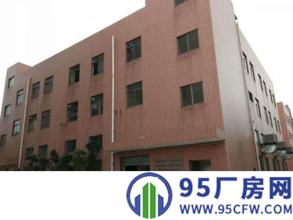 万江独院标准厂房4500平方出租交通方便有办公室装修