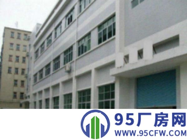 万江带现成装修标准一楼700或1000平方招租现成水电，宿舍