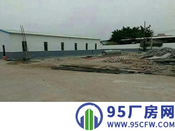 中堂独院单一层钢构厂房2500平方出租水电消防喷淋齐全交通方