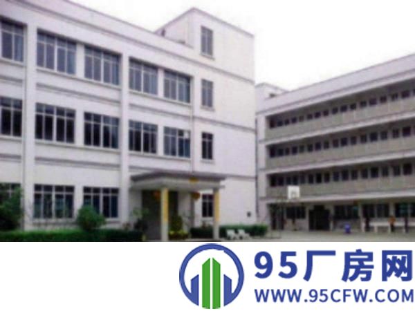 万江一楼带豪华装修1000平米厂房招租仓库贸易，家居