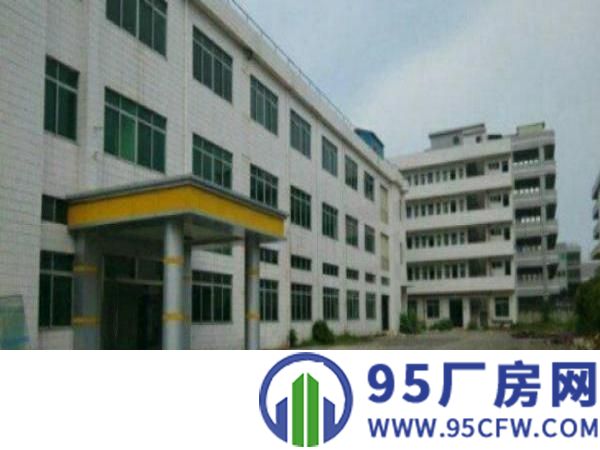 高埗标准厂房分租一楼1800平方带办公室装修现成办公室装修