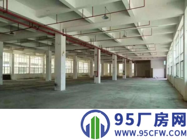 望牛墩独院标准厂房楼上1500平方出租有现成装修办公室