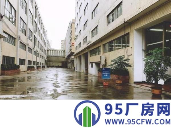 望牛墩工业园楼上带装修厂房1200平方出租电按有办公室有电梯