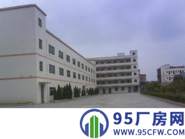 望牛墩工业区标准厂房出租一楼1800平方出租配电充足适合各行
