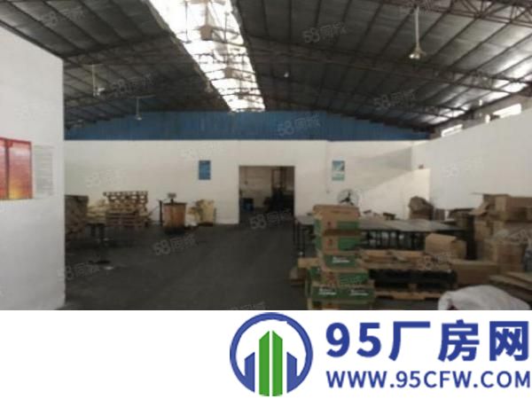 万江新出原房东独门独院单一层招租