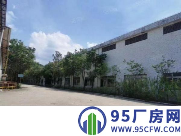 万江原房东独院单一层厂房，空地大，价格便宜
