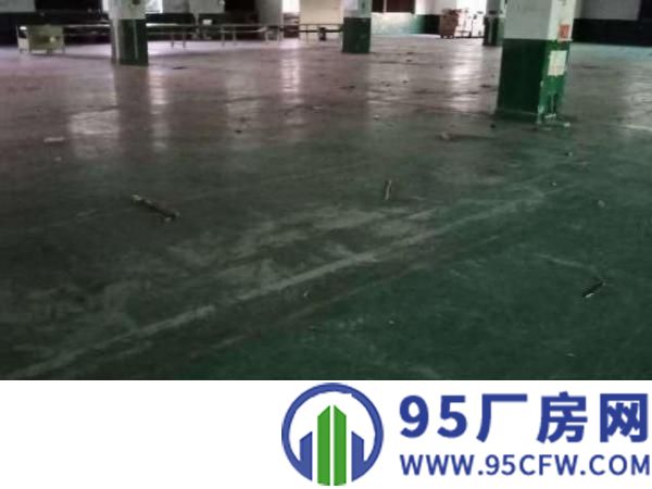 共联工业区独院厂房招租