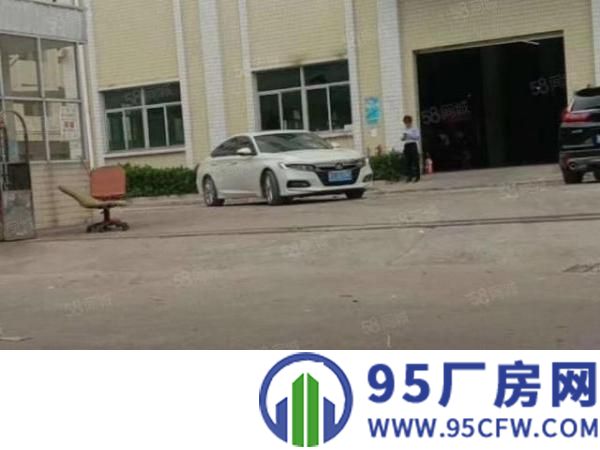 新出豪华实惠厂房出租