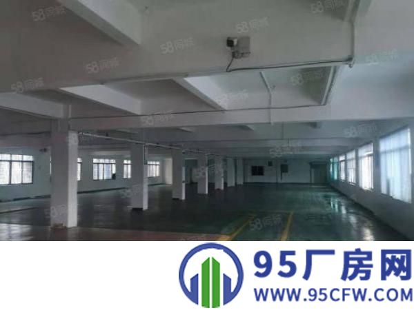寮步竹园带地坪漆标准分租500平方现成装修
