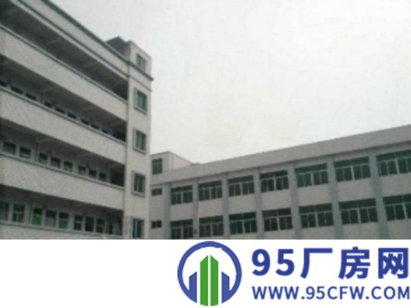 万江周边大量独院标准厂房仓库500至20000平方招租