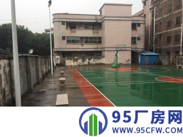 望牛墩五福路厂房600平米