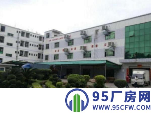 万江带现成装修标准一楼600或1000平方招租