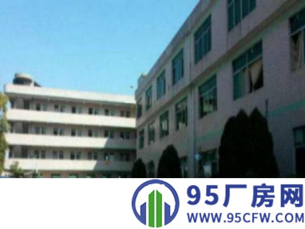 万江2楼2000平米个人独院标准厂房招租消防等设施齐全空地