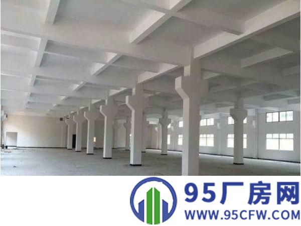 急租！清溪铁场全新一楼厂房950平方带牛角出租