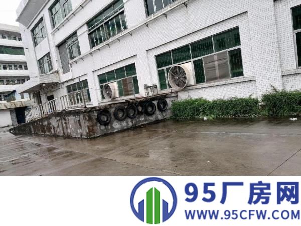寮步镇原房东厂房出租