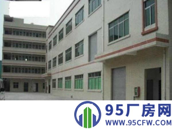 万江屋原房东出租独院厂房1000平方形象好空地大租金便
