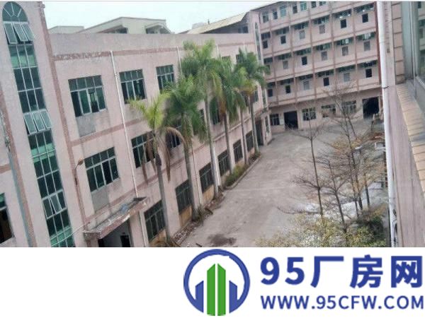 凤岗官井头一楼5500平方标准厂房出租，八米层高