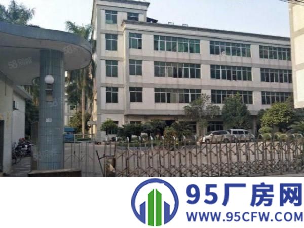 望牛墩外资企业独院厂房6000方出租，园林式厂房