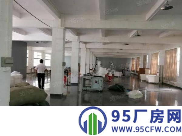 桥头新出原房东独门独院三层标准厂房
