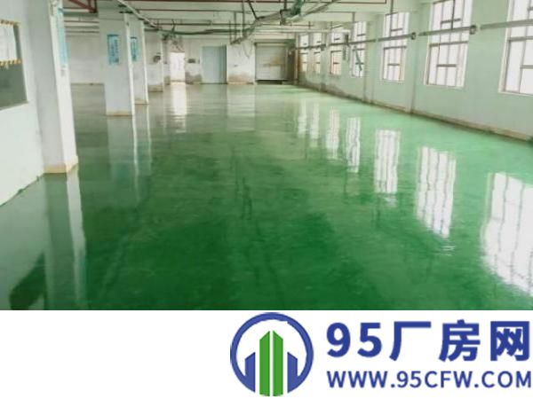 原房东楼上电子手袋纸箱仓库厂房出租2400平拎包入驻