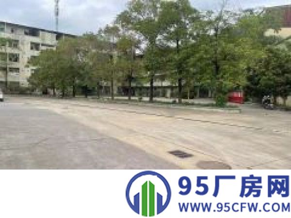 ( 出租 ) 博罗 罗阳原房东独门独院单一层厂房5000平
