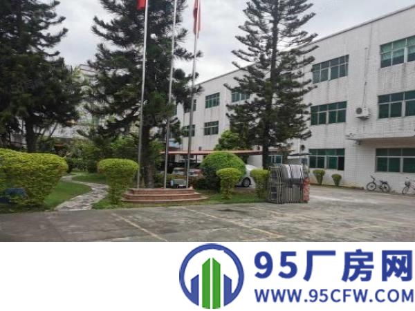 清溪三中原房东独院厂房出租13层3780平方可分租