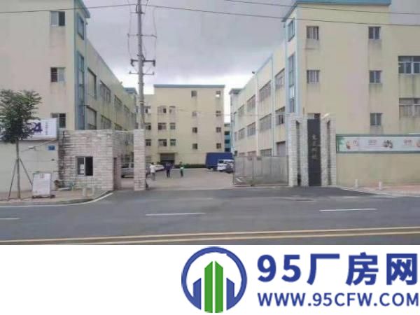 道滘镇红本独院厂房1