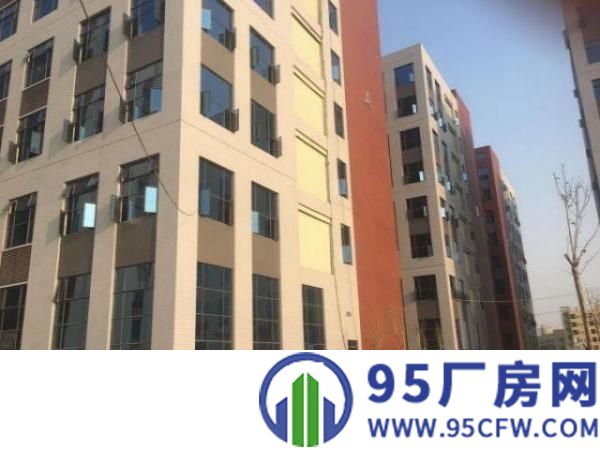 东莞市政府推进粤港澳大湾区新建项目招租