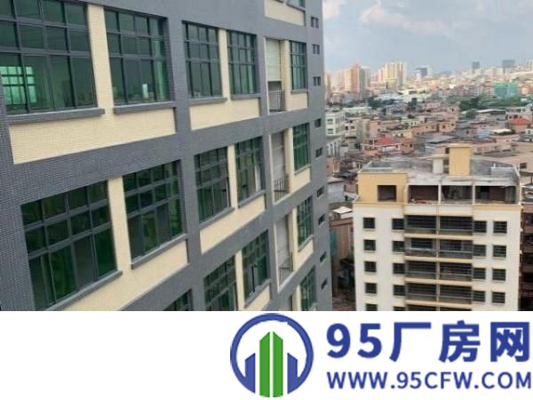 寮步新工业园区厂房全新原房东出租大小面积可分