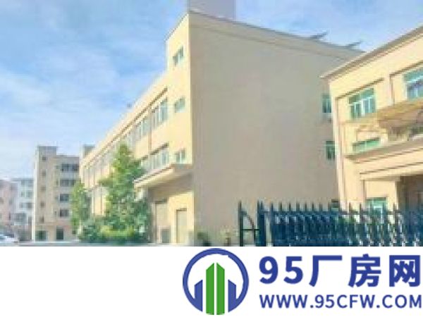 园洲国有红本标准厂房出售